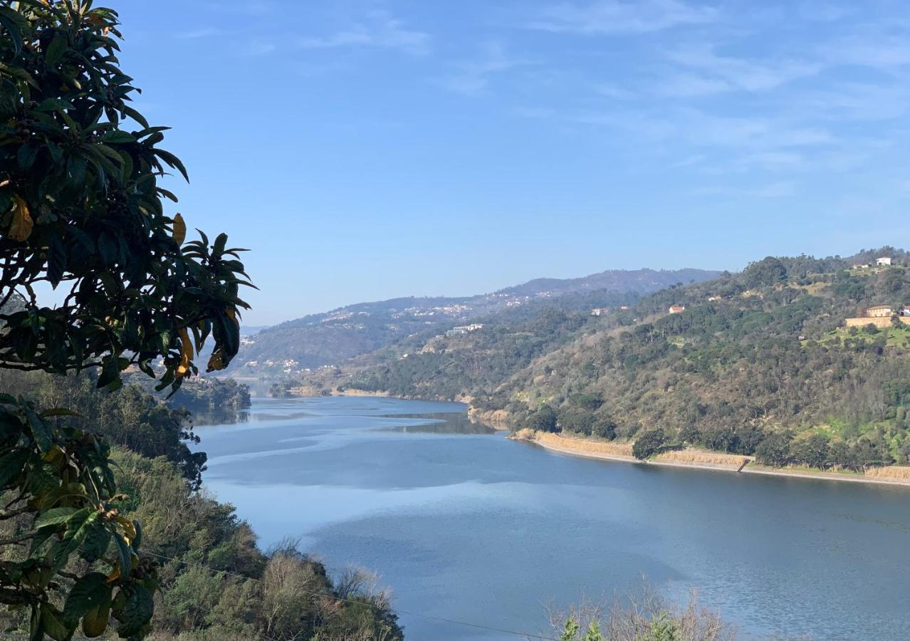 Quinta Da Porta Caseira Ресенде Екстериор снимка
